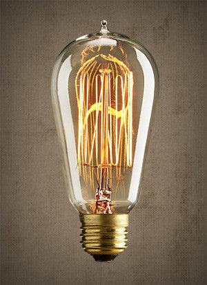 Edison Squirrel Cage Light Bulb - 60 watt